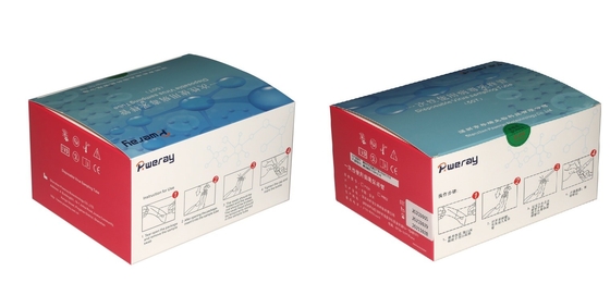 Prueba disponible Kit Virus Sampling For Covid-19 de 3ML VTM