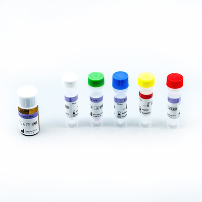 Prueba rápida Kit Medical Dignostic de la polimerización en cadena de la extracción del ARN de la DNA