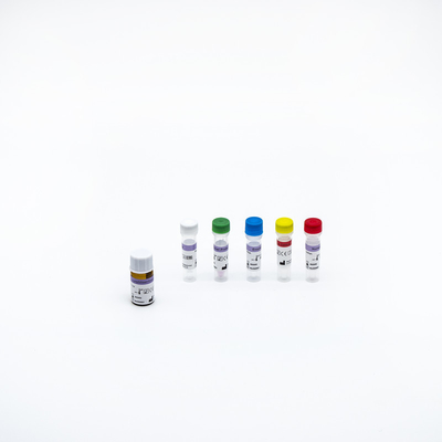 Prueba rápida Kit Nucleic Acid Detection Kit de la polimerización en cadena de la clase I RT de la aprobación del CE