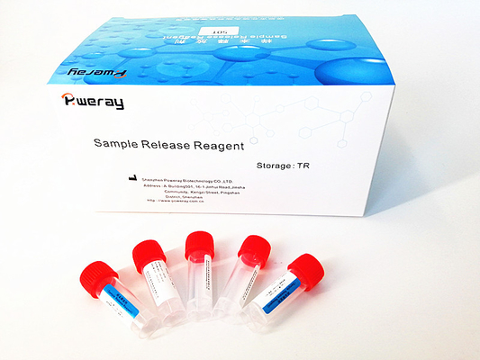 ARN viral Mini Kit With ISO 13485 del espécimen de la detección nasal de la polimerización en cadena